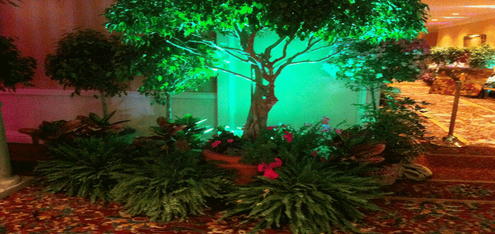 Foreman Productions plants